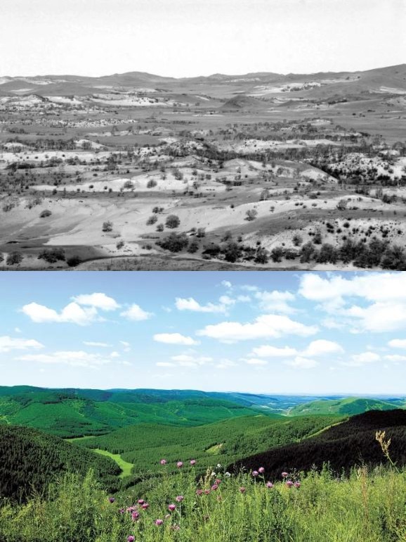 塞罕坝治沙的前后对比图