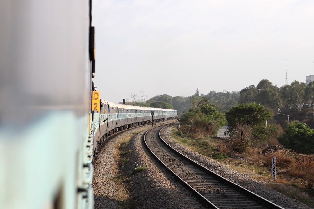 Photo by MIGUEL BAIXAULI on Unsplash